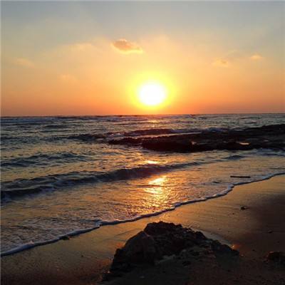 金年汇体育app截图