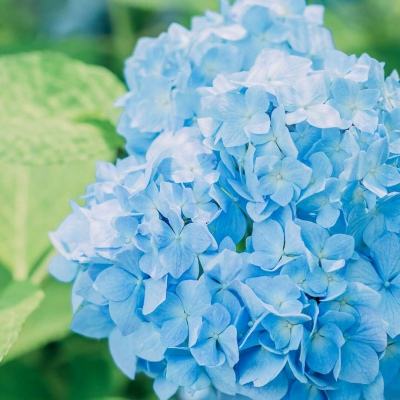 江南体育app下载手机app下载